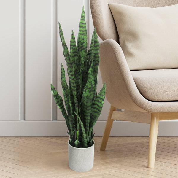 Wade Logan® Faux Snake Plant in Planter & Reviews Wayfair